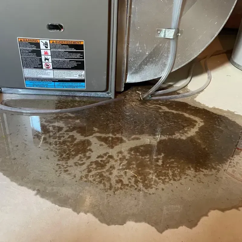 Appliance Leak Cleanup in Woodcreek, TX